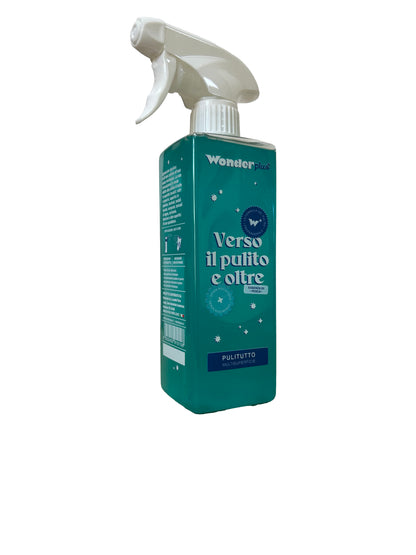 Verso il Pulito e oltre